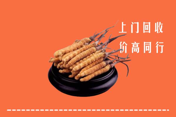 高价求购：高安市回收散虫草