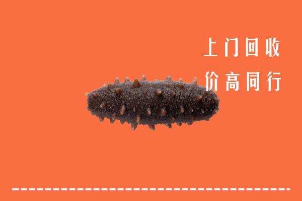 高价求购：高安市回收海参