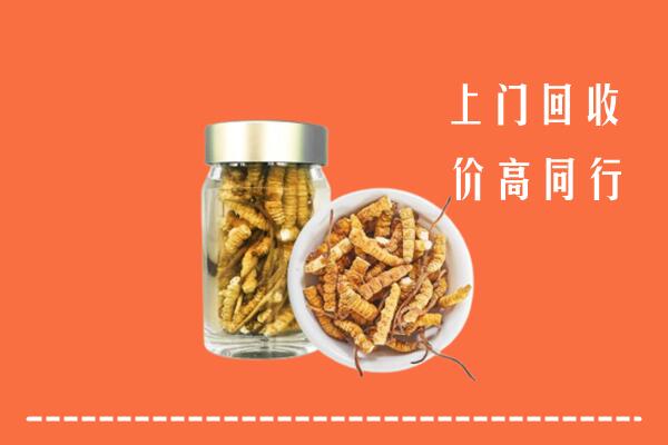 高安市回收冬虫夏草
