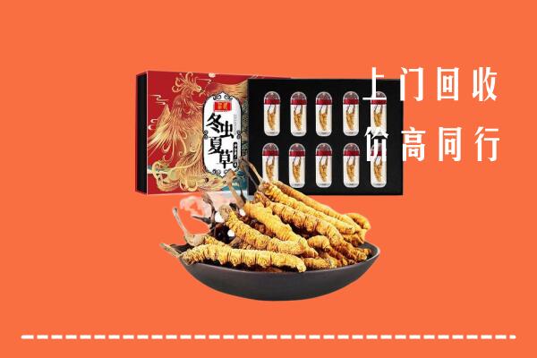 高安市回收虫草